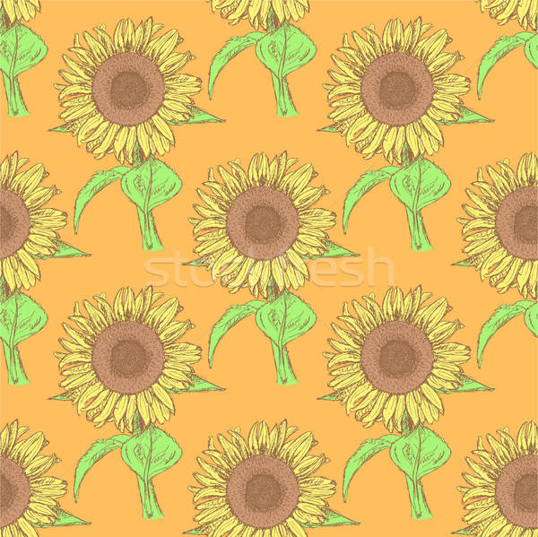 600x599 Sketch Sunflower, Vector Vintage Seamless Pattern Vector