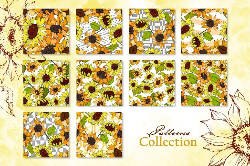 1024x683 Sunflower Vector Collection Watercolorpng