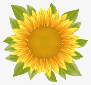 320x299 Sunflower Vector Png Png Images Png Cliparts Free Download