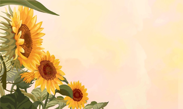 626x375 Sunflower Vectors, Photos And Free Download