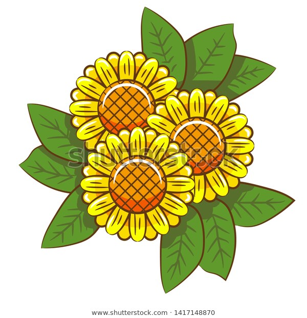 600x620 Sunflower Clipartsunflower Vectorsunflower Design Sunflower