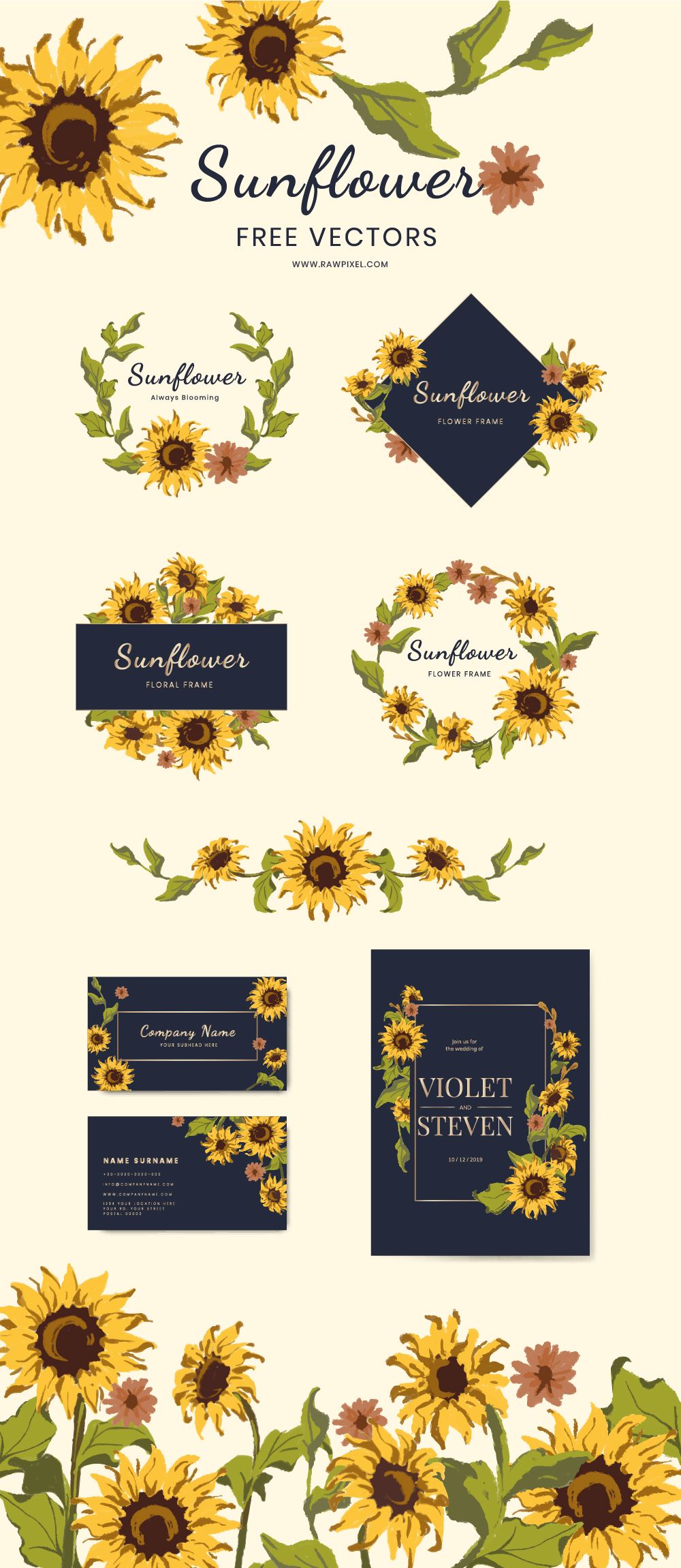 1000x2301 Download Free Sunflower Vector Images