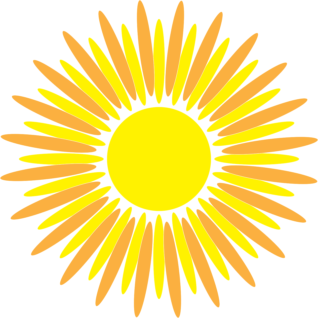 Hd Sunflower Vector Graphic 1280x1280 Hd Sunflower Vector Graphic