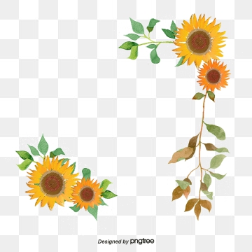 Sunflower Vector, Free Download Sunflowers, Sunflower Watercolor 360x360 Sunflower Vector, Free Download Sunflowers, Sunflower Watercolor