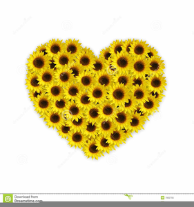 Sunflower Vector Clipart Free Free Images 281x300 Sunflower Vector Clipart Free Free Images