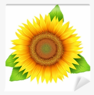 Sunflower Vector Png, Transparent Sunflower Vector Png Image Free 300x304 Sunflower Vector Png, Transparent Sunflower Vector Png Image Free