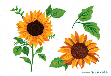 Sunflower Vector Graphics To Download 381x260 Sunflower Vector Graphics To Download