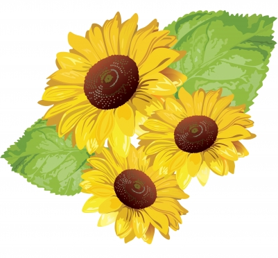 Sunflower Set Vector Free Download 401x372 Sunflower Set Vector Free Download