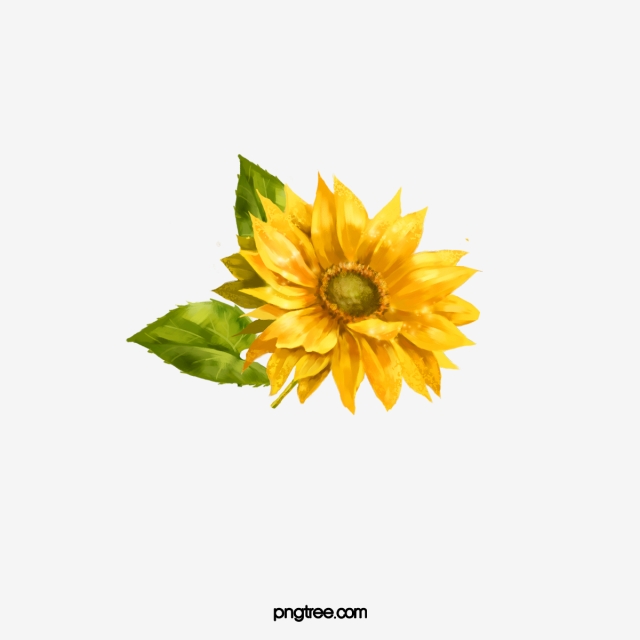 Watercolor Sunflower Png, Vector, And Clipart 640x640 Watercolor Sunflower Png, Vector, And Clipart