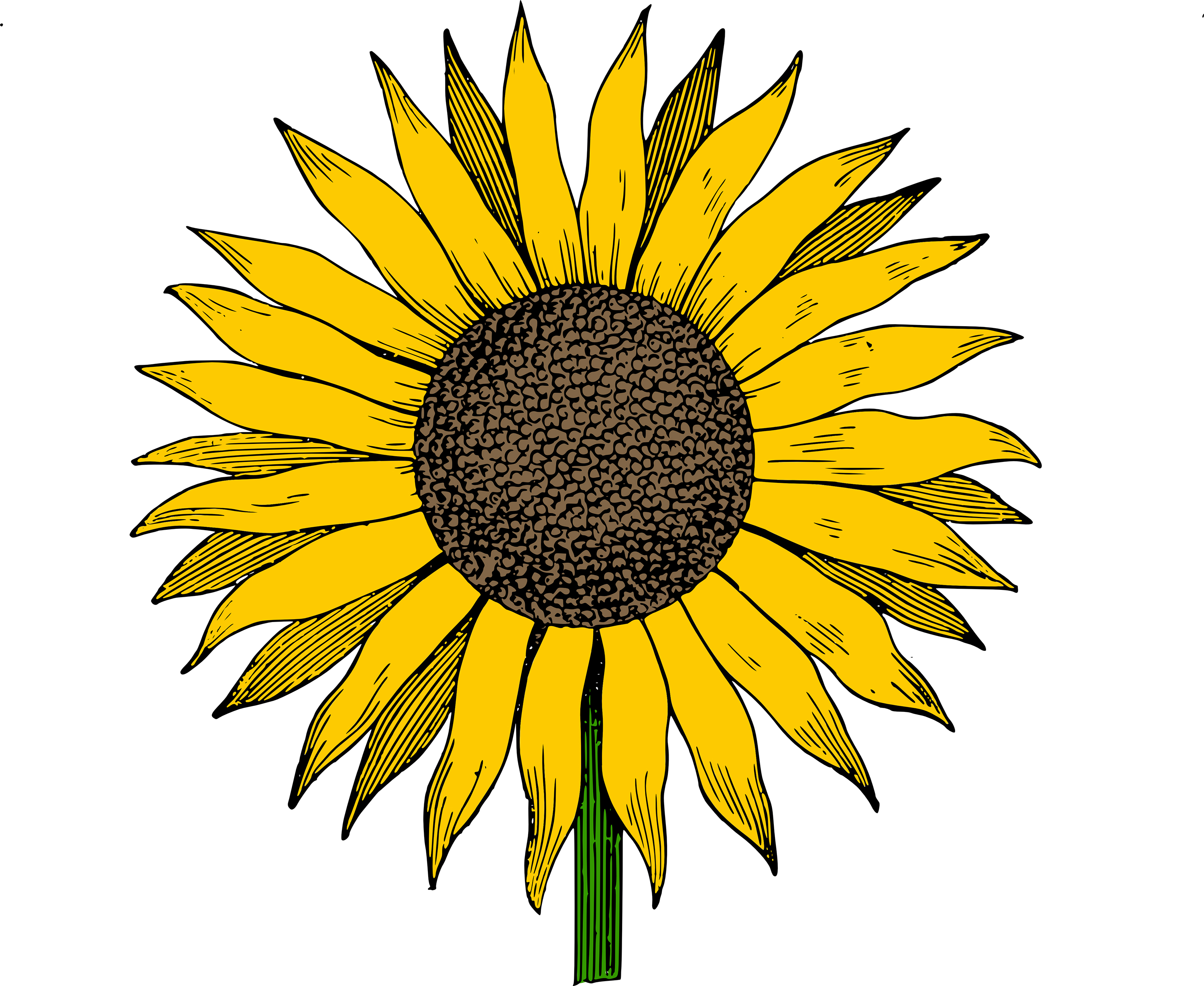 Free Clip Art Sunflower Vector Image Clip Art Department 3000x2457 Free Clip Art Sunflower Vector Image Clip Art Department