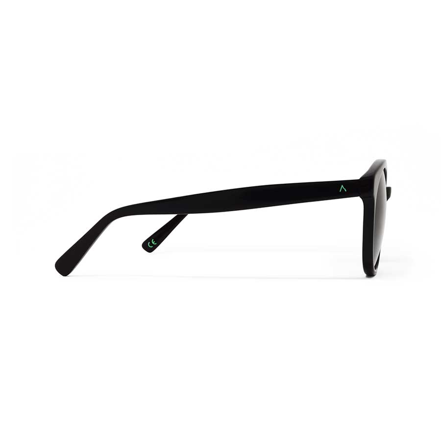 900x900 Vector Sunglasses