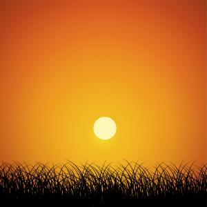 300x300 Sunrise Background With Mosque Silhouette Vector Hoodamathrun