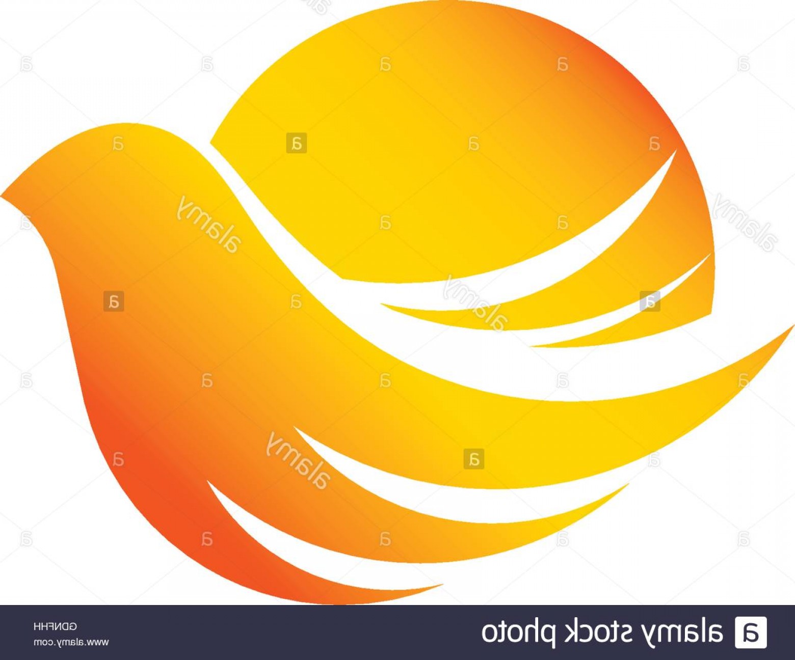 1560x1296 Sunrise Vector Logo Sarahgardan
