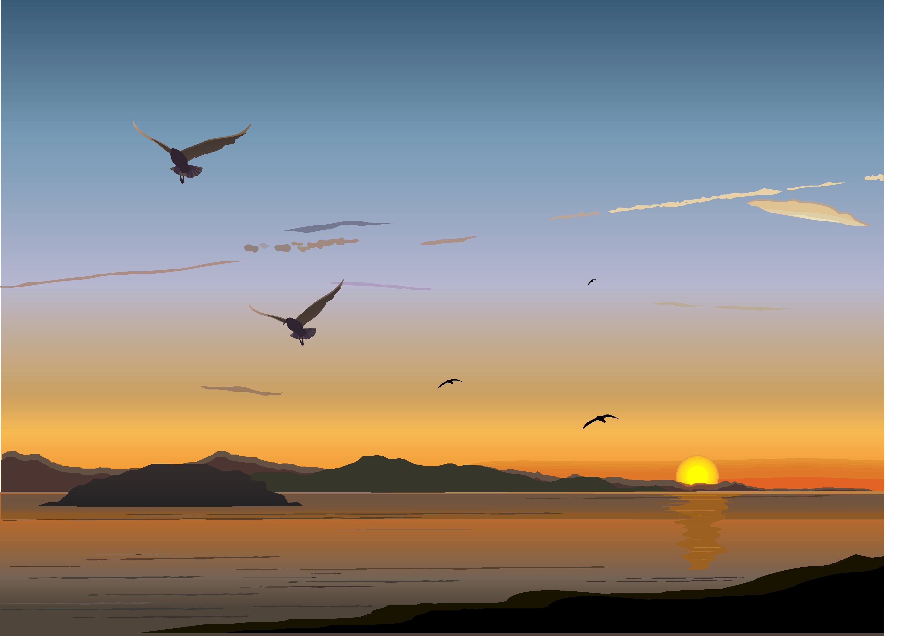 3543x2492 Wallpaper Birds, Sunset, Sea, Sunrise, Vector Art, Flock