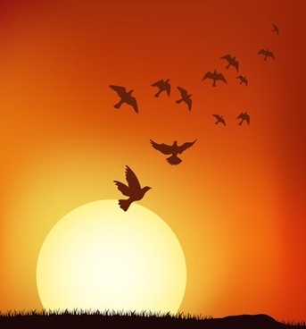 343x368 Sunset Free Vector Download