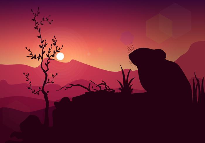 700x490 Gerbil Silhouette Sunset Free Vector