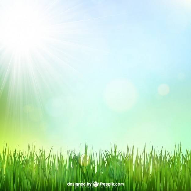 626x626 Green Grass Background With Sunshine Vector Free Download
