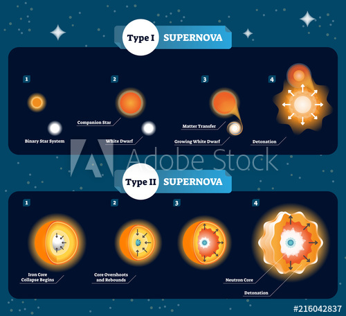 500x456 Supernova Vector Illustration Scheme With How Stars Become To Big
