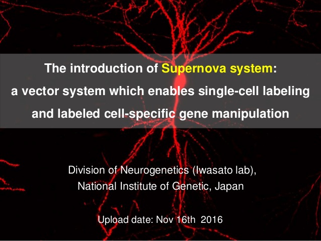 638x479 The Introduction Of Supernova System A Vector System For Single