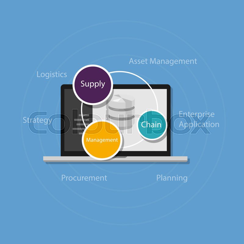 800x800 Supply Chain Management Scm Stock Vector Colourbox