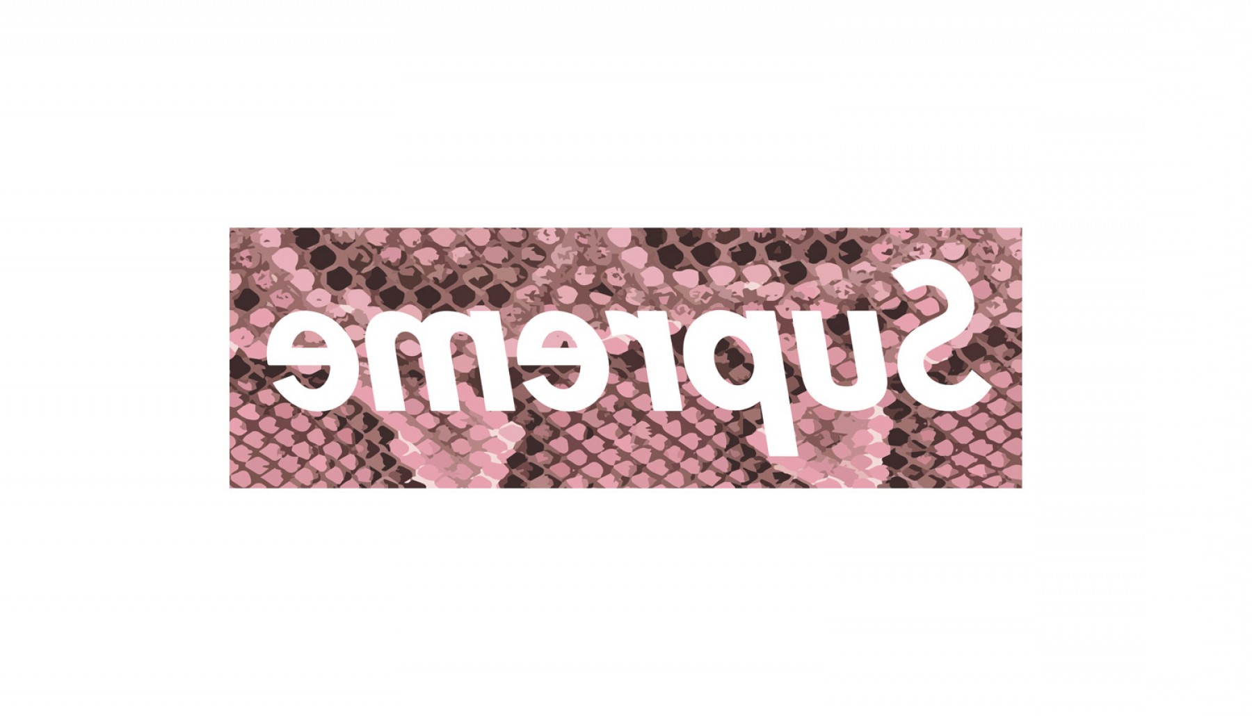 Best Supreme Box Logo T Shirts Lamaison 1800x1030 Best Supreme Box Logo T Shirts Lamaison