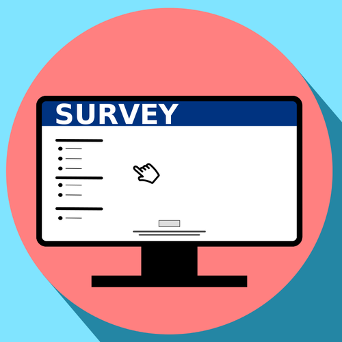 500x500 Website Survey Icon Vector Image