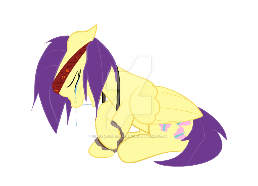 900x648 Survivor Shy Vector