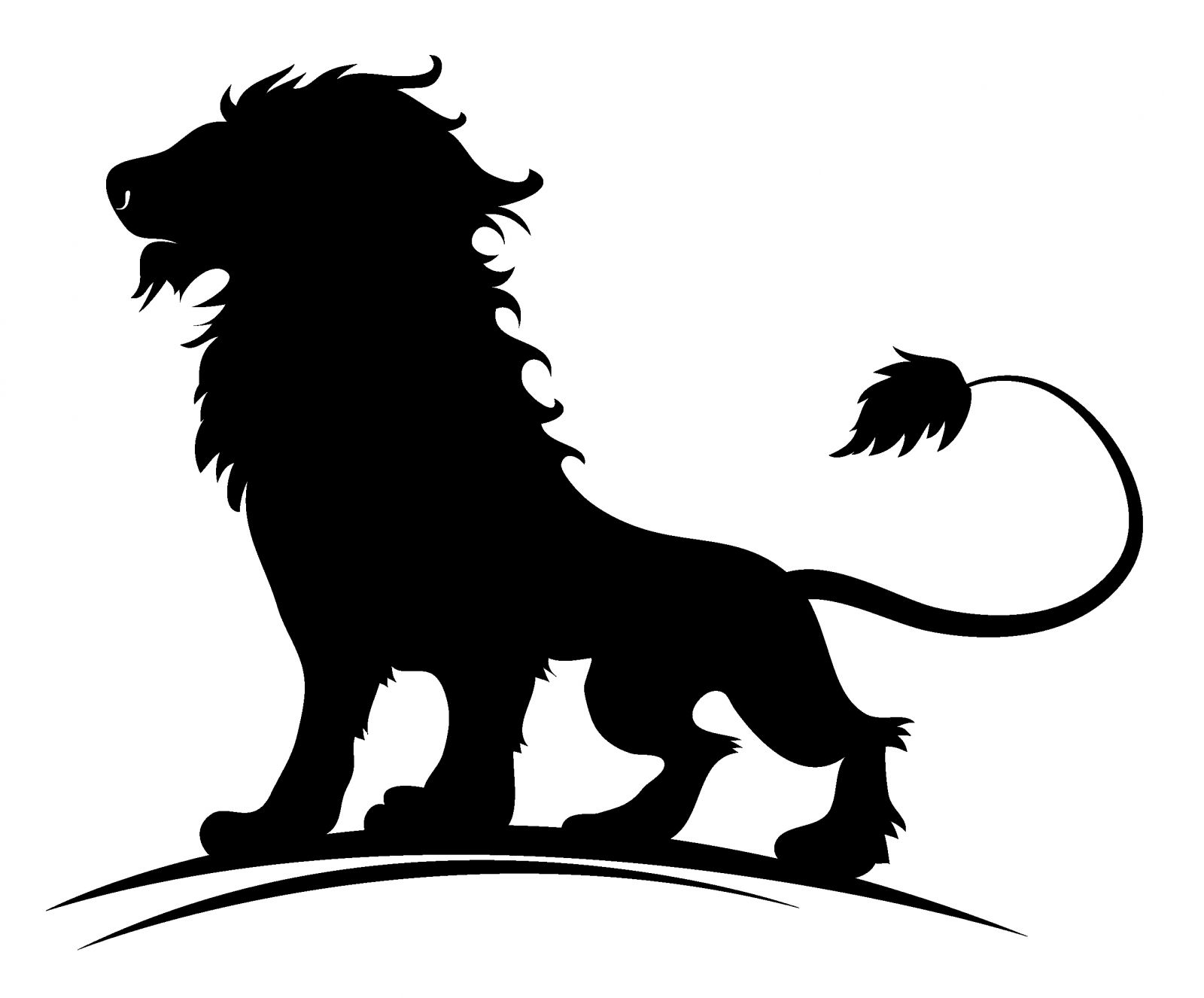 Lion 1600x1326 Lion