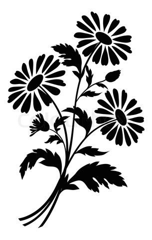 Stock Image Of 'chamomile Flowers, Silhouettes' Flowers 305x480 Stock Image Of 'chamomile Flowers, Silhouettes' Flowers