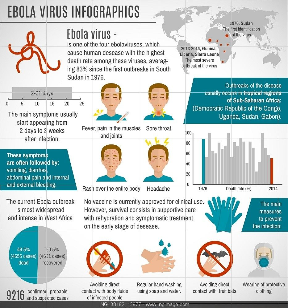 Infographic Ebola Virus Infographics Set With Charts 933x1000 Infographic Ebola Virus Infographics Set With Charts