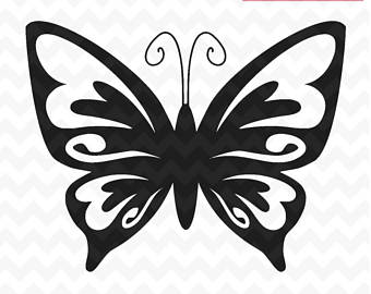 Butterfly Etsy 340x270 Butterfly Etsy