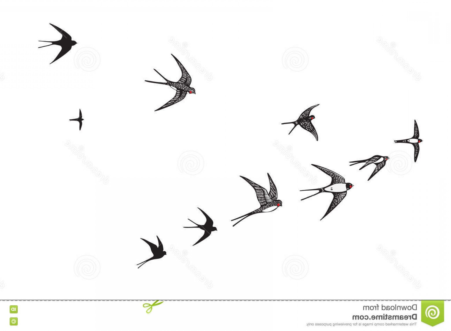 Stock Illustration Flock Birds Silhouette Swallow Vector 1560x1146 Stock Illustration Flock Birds Silhouette Swallow Vector