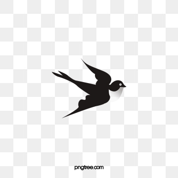 Swallow Bird Png, Vector, And Clipart With Transparent 360x360 Swallow Bird Png, Vector, And Clipart With Transparent