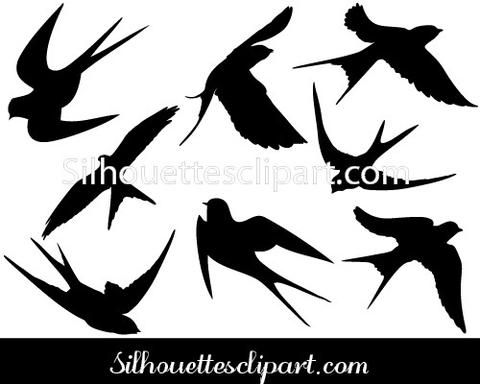 Swallow Vector Graphics Under The Sea Grey Floor Tiles, Vector 480x384 Swallow Vector Graphics Under The Sea Grey Floor Tiles, Vector