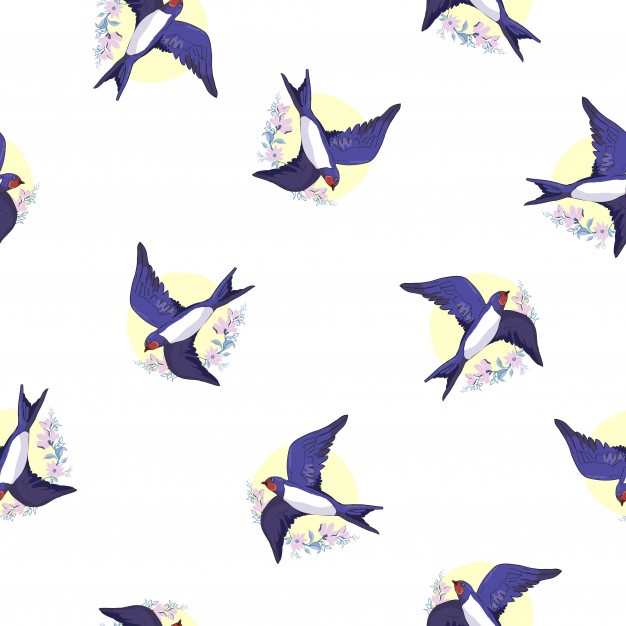 Swallow Vectors, Photos And Free Download 626x626 Swallow Vectors, Photos And Free Download