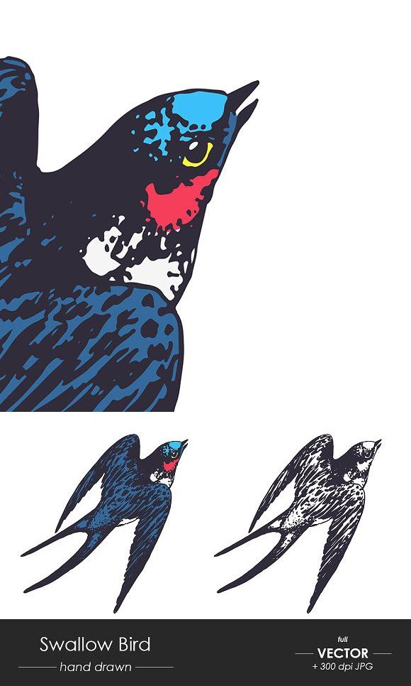 Swallow Bird 580x966 Swallow Bird