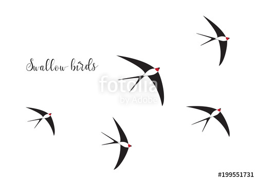 Flock Of Swallow Birds Illustration Stock Image And Royalty Free 500x350 Flock Of Swallow Birds Illustration Stock Image And Royalty Free