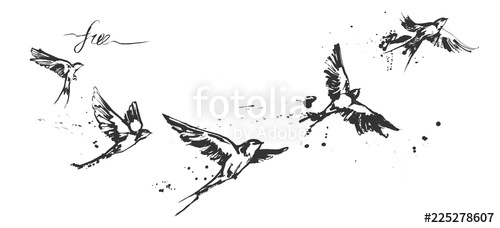 Flying Swallow Birds Set Stock Image And Royalty Free Vector 500x228 Flying Swallow Birds Set Stock Image And Royalty Free Vector