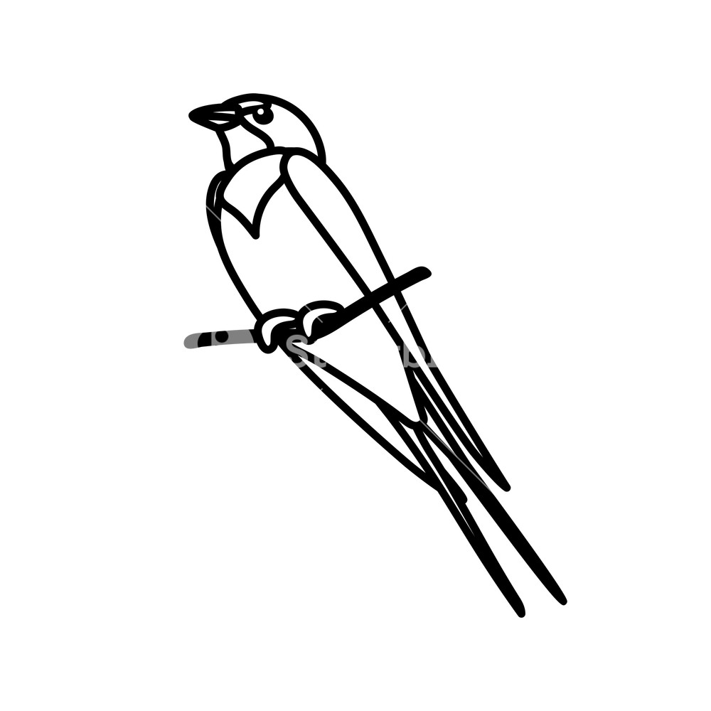 Vector Line Cartoon Animal Clip Art Swallow Bird Royalty Free 1000x1000 Vector Line Cartoon Animal Clip Art Swallow Bird Royalty Free