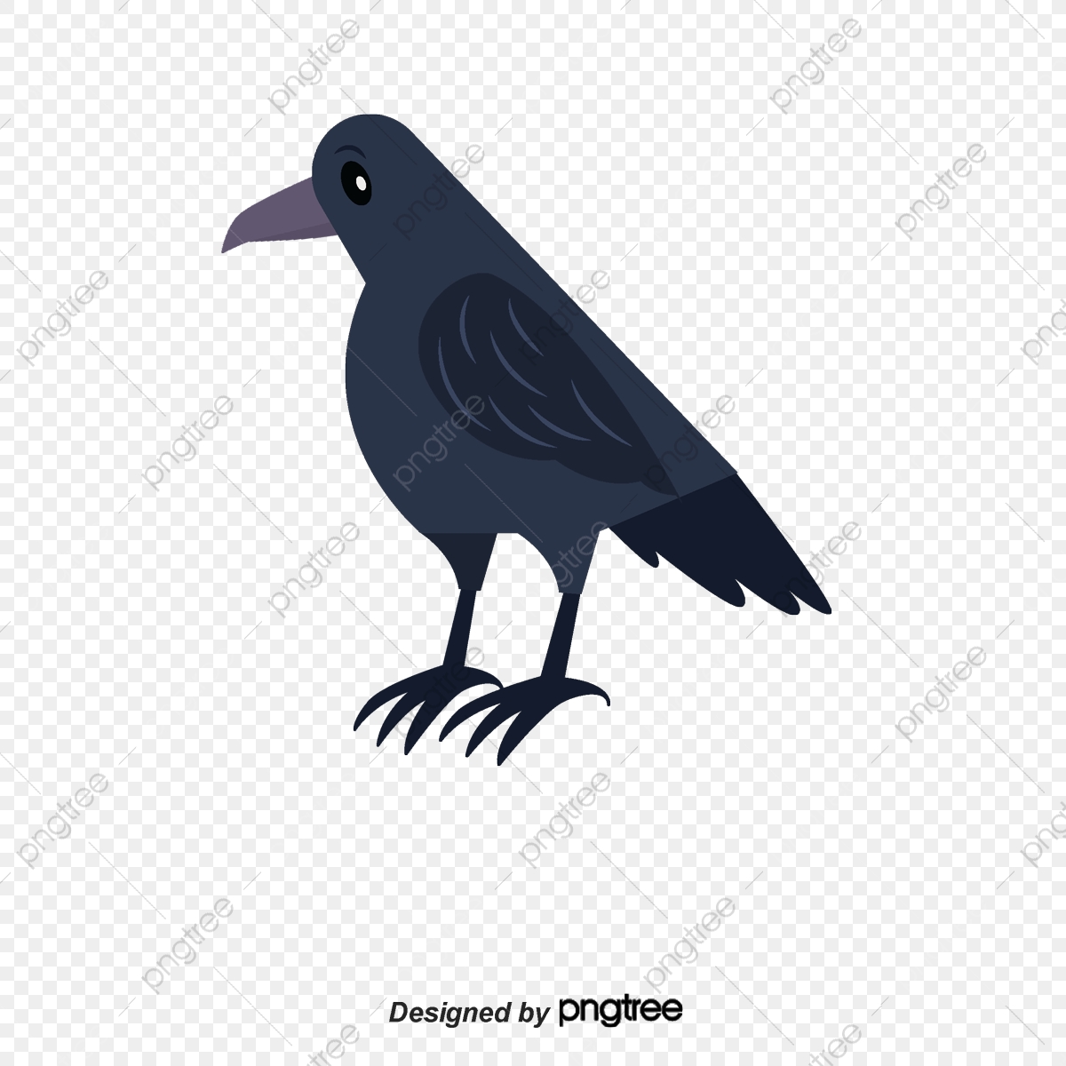 Black Bird, Swallow, Bird Vector, Shape Png Transparent Image 1200x1200 Black Bird, Swallow, Bird Vector, Shape Png Transparent Image