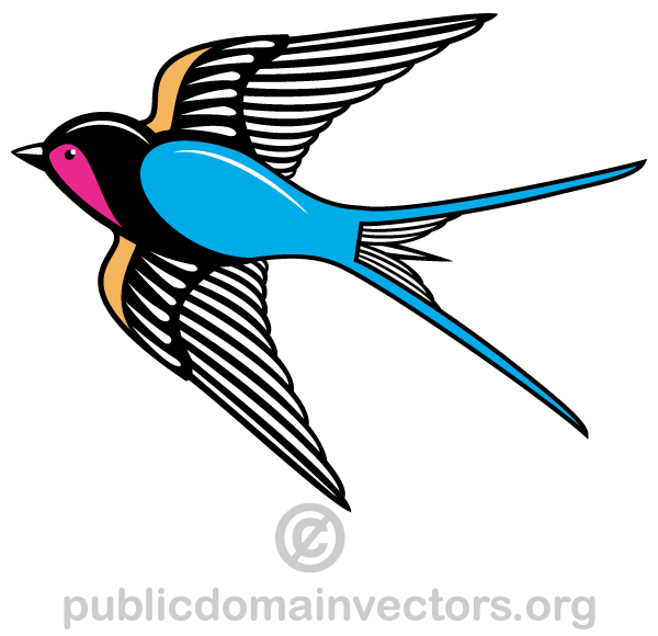 Flying Swallow Bird Vector Art 600x580 Flying Swallow Bird Vector Art