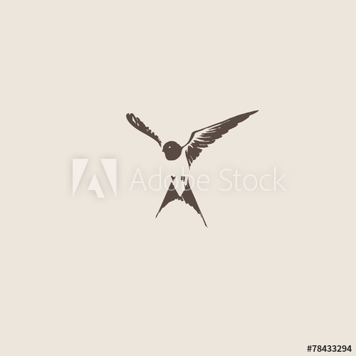 500x500 Hand Drawn Swallow Vector Illustration