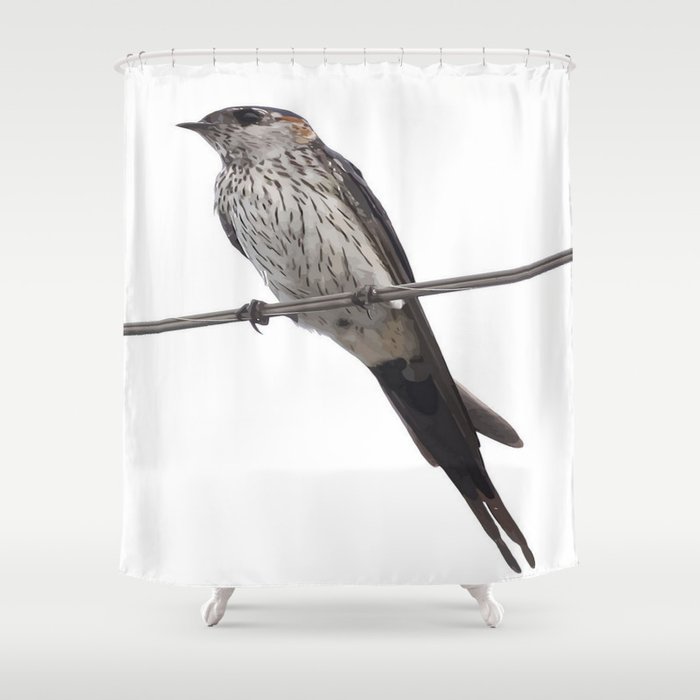 700x700 Red Rumped Swallow Vector Background Removed Shower Curtain