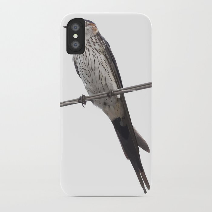 700x700 Red Rumped Swallow Vector Background Removed Iphone Case