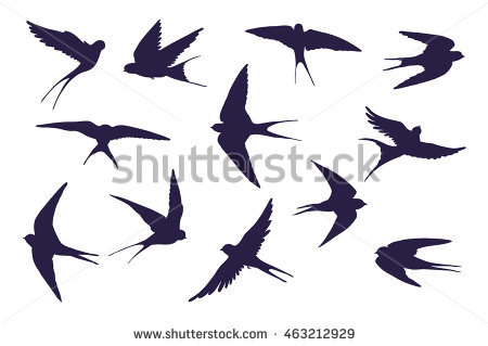 450x319 Swallow Bird Silhouette