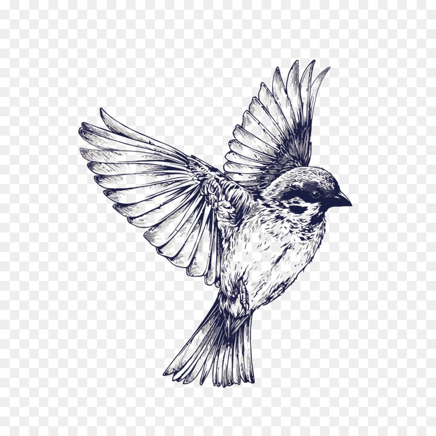 900x900 Bird Flight Tattoo Drawing Swallow Vector Hand Painted Sparrow Png