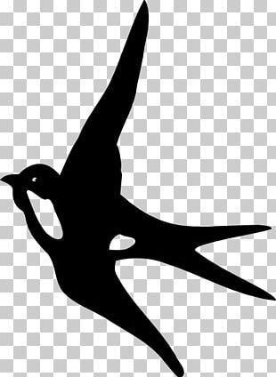 310x424 Swallow Vector Png Images, Swallow Vector Clipart Free Download