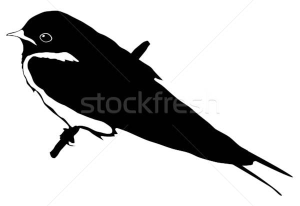 600x412 Silhouette Of Swallow Vector Illustration Oleksandr Kovalenko