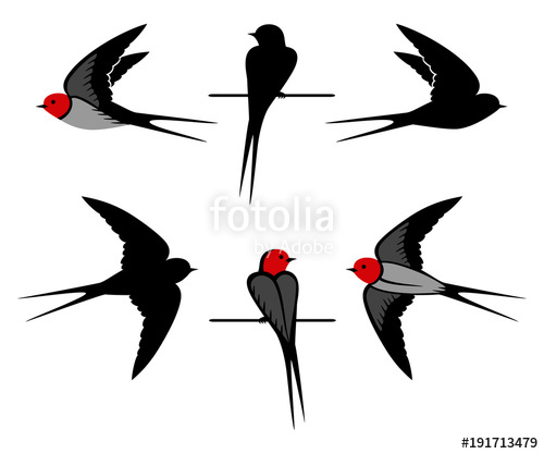 500x417 Swallow Silhouettes Stock Image And Royalty Free Vector