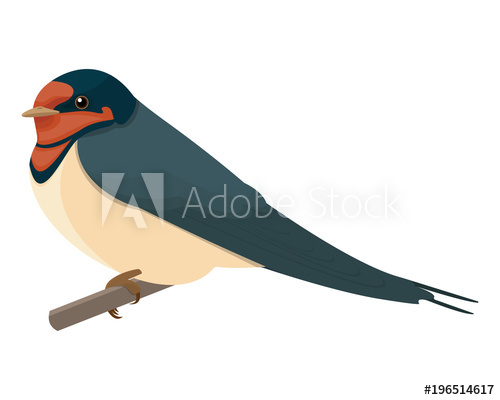 500x400 Swallow Vector Illustration Style Flat Side Front